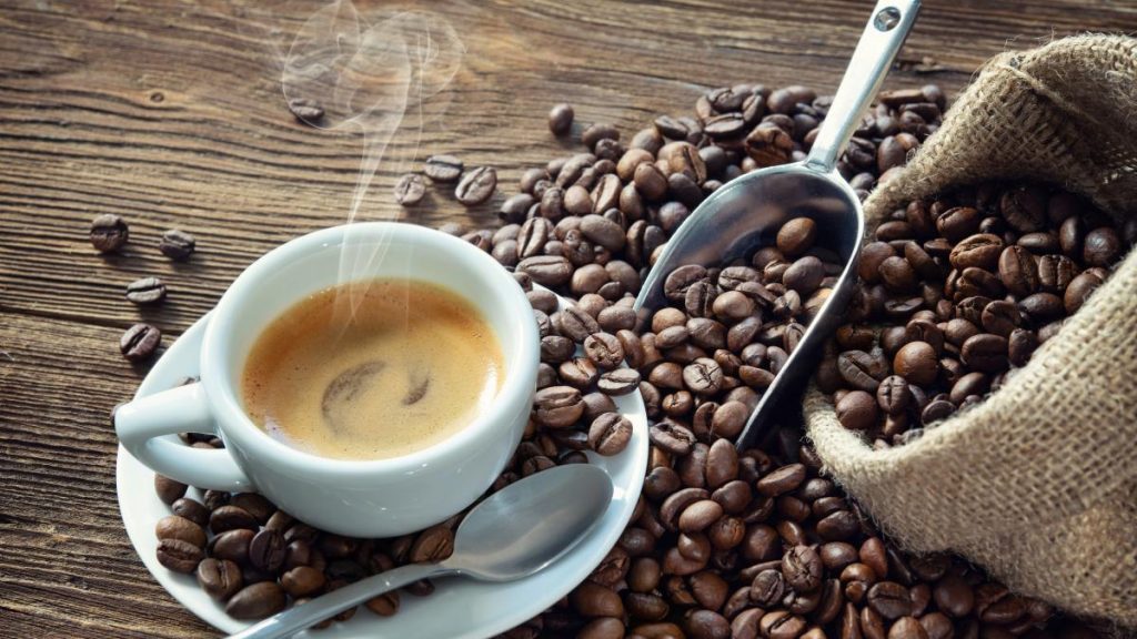 ¿Cuál es el café arábigo?