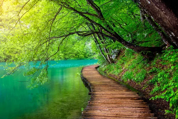 Parque Natura