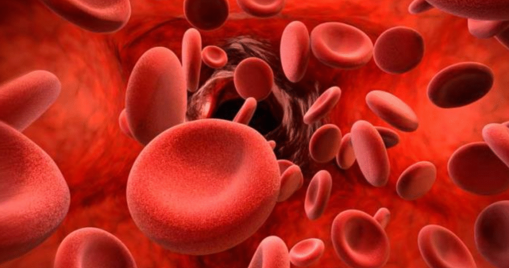 globulos rojos