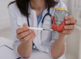 doctora con modelo anatomico de la tiroides