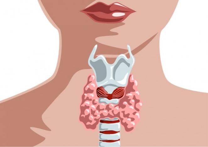 animación de mujer con gladula tiroides