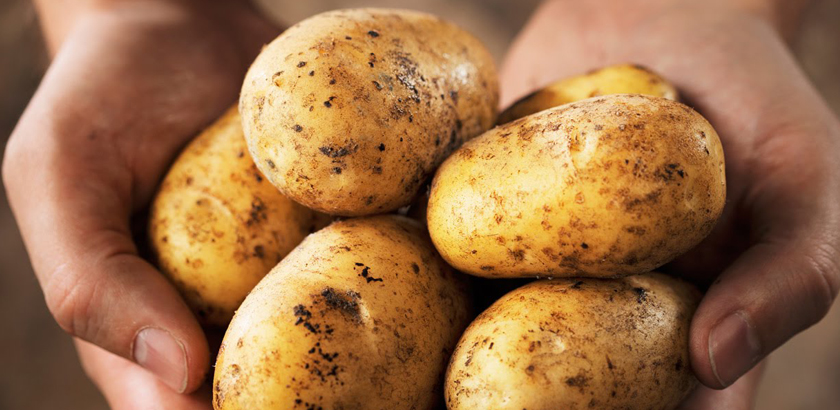 papas